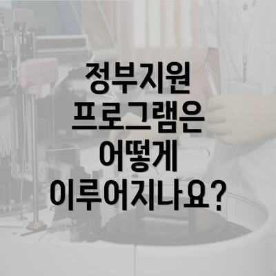 정부지원 프로그램은 어떻게 이루어지나요?