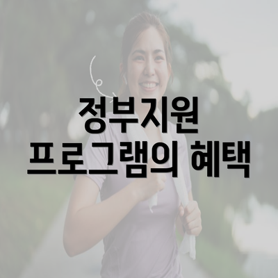 정부지원 프로그램의 혜택