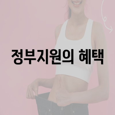 정부지원의 혜택