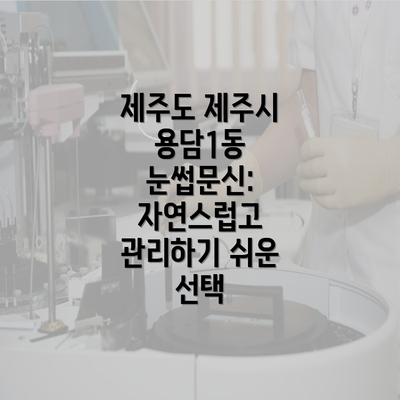 제주도 제주시 용담1동 눈썹문신: 자연스럽고 관리하기 쉬운 선택