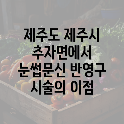 제주도 제주시 추자면에서 눈썹문신 반영구 시술의 이점