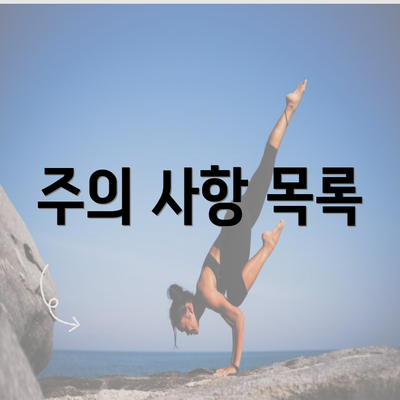 주의 사항 목록