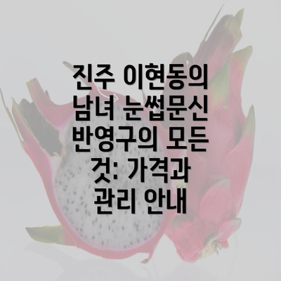 진주 이현동의 남녀 눈썹문신 반영구의 모든 것: 가격과 관리 안내