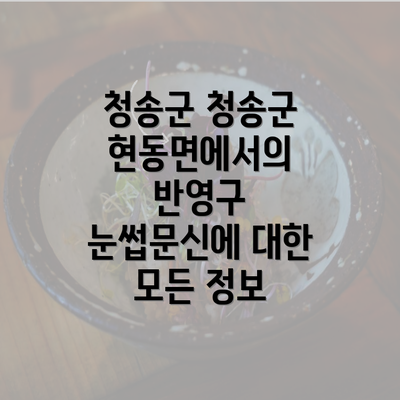 청송군 청송군 현동면에서의 반영구 눈썹문신에 대한 모든 정보