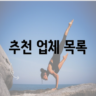 추천 업체 목록