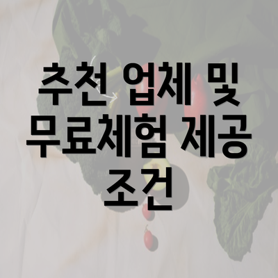 추천 업체 및 무료체험 제공 조건