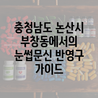 충청남도 논산시 부창동에서의 눈썹문신 반영구 가이드