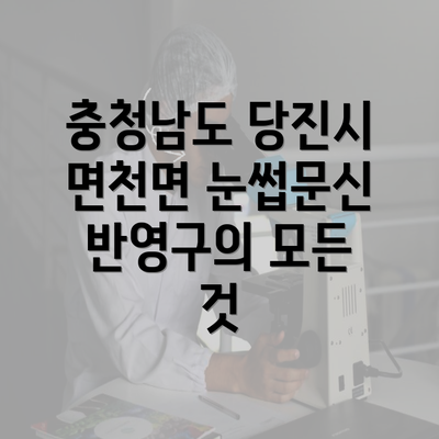 충청남도 당진시 면천면 눈썹문신 반영구의 모든 것