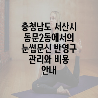 충청남도 서산시 동문2동에서의 눈썹문신 반영구 관리와 비용 안내