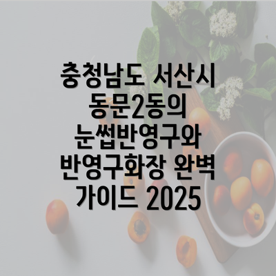 충청남도 서산시 동문2동의 눈썹반영구와 반영구화장 완벽 가이드 2025