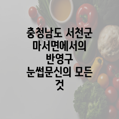 충청남도 서천군 마서면에서의 반영구 눈썹문신의 모든 것