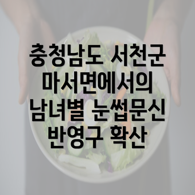 충청남도 서천군 마서면에서의 남녀별 눈썹문신 반영구 확산