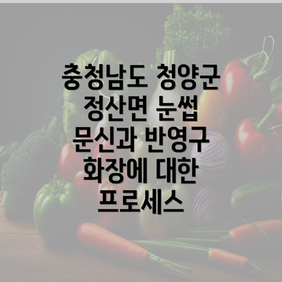 충청남도 청양군 정산면 눈썹 문신과 반영구 화장에 대한 프로세스