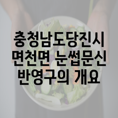 충청남도당진시 면천면 눈썹문신 반영구의 개요