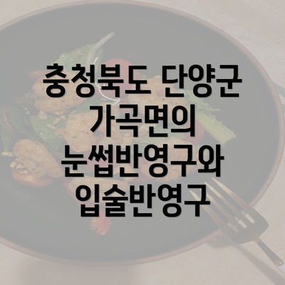 충청북도 단양군 가곡면의 눈썹반영구와 입술반영구