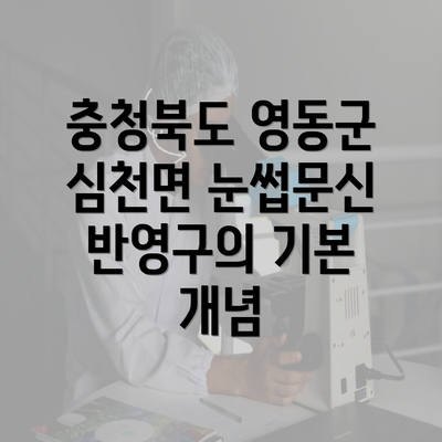 충청북도 영동군 심천면 눈썹문신 반영구의 기본 개념