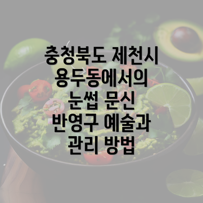 충청북도 제천시 용두동에서의 눈썹 문신 반영구 예술과 관리 방법