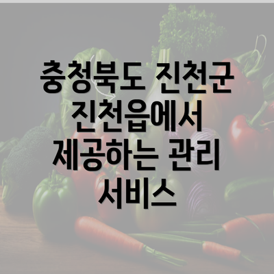 충청북도 진천군 진천읍에서 제공하는 관리 서비스