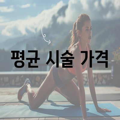 평균 시술 가격