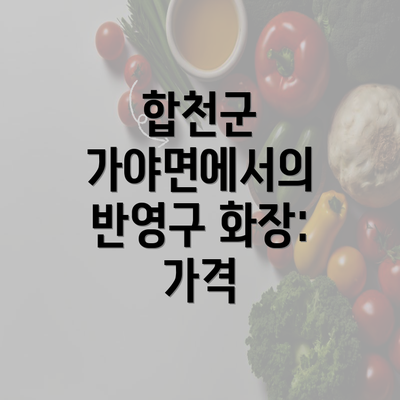 합천군 가야면에서의 반영구 화장: 가격