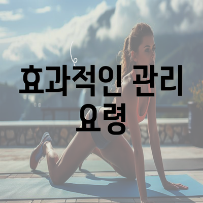 효과적인 관리 요령