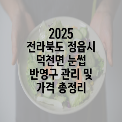 2025 전라북도 정읍시 덕천면 눈썹 반영구 관리 및 가격 총정리