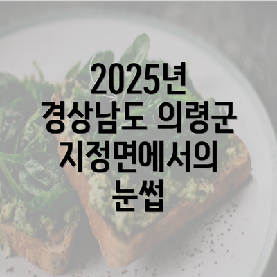 2025년 경상남도 의령군 지정면에서의 눈썹