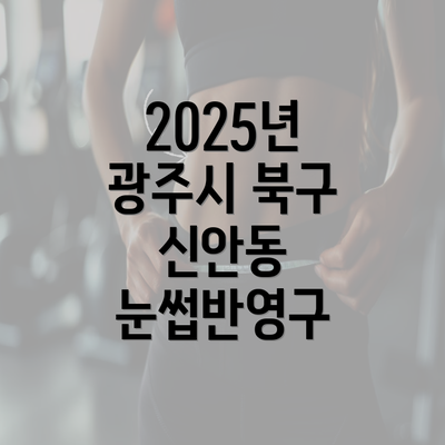 2025년 광주시 북구 신안동 눈썹반영구