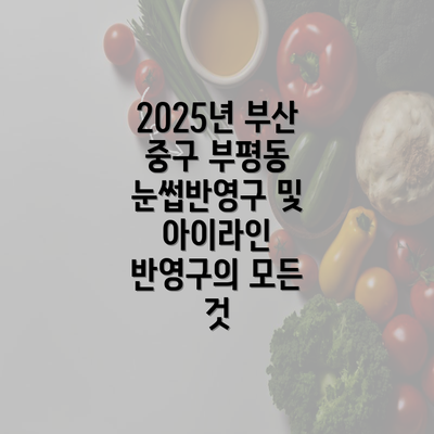 2025년 부산 중구 부평동 눈썹반영구 및 아이라인 반영구의 모든 것