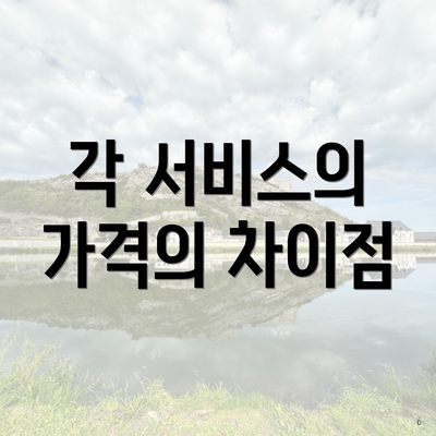 각 서비스의 가격의 차이점