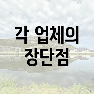 각 업체의 장단점