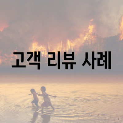 고객 리뷰 사례