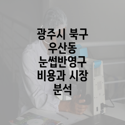 광주시 북구 우산동 눈썹반영구 비용과 시장 분석