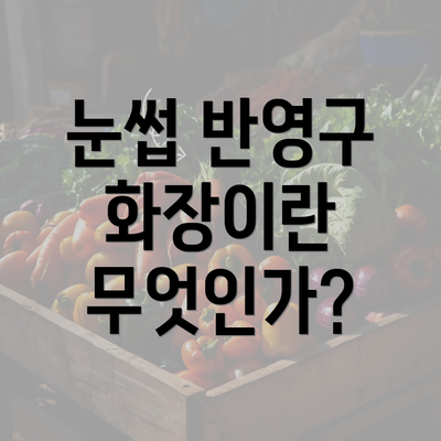 눈썹 반영구 화장이란 무엇인가?