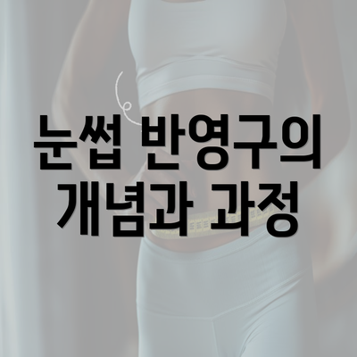 눈썹 반영구의 개념과 과정