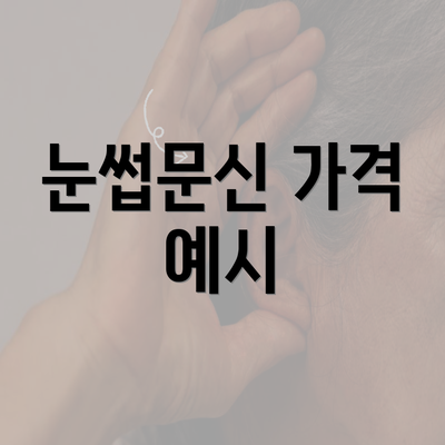 눈썹문신 가격 예시