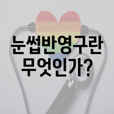 눈썹반영구란 무엇인가?