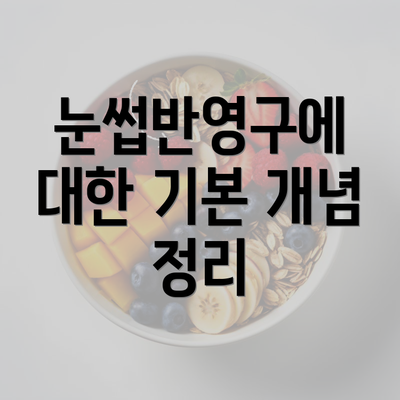 눈썹반영구에 대한 기본 개념 정리