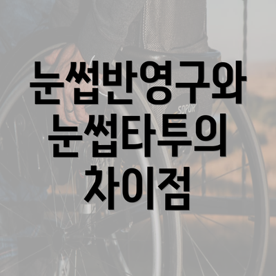 눈썹반영구와 눈썹타투의 차이점