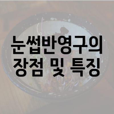 눈썹반영구의 장점 및 특징