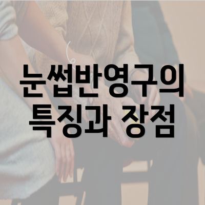 눈썹반영구의 특징과 장점