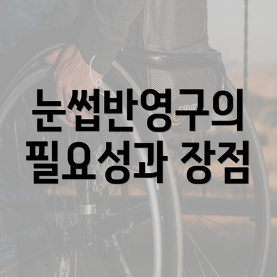 눈썹반영구의 필요성과 장점