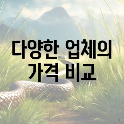 다양한 업체의 가격 비교