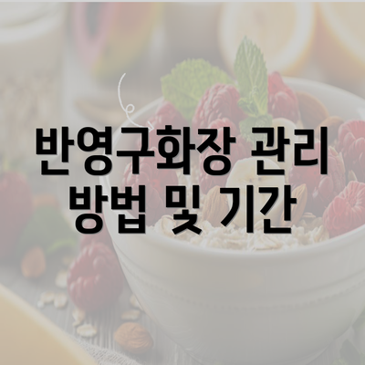 반영구화장 관리 방법 및 기간