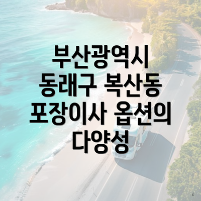 부산광역시 동래구 복산동 포장이사 옵션의 다양성