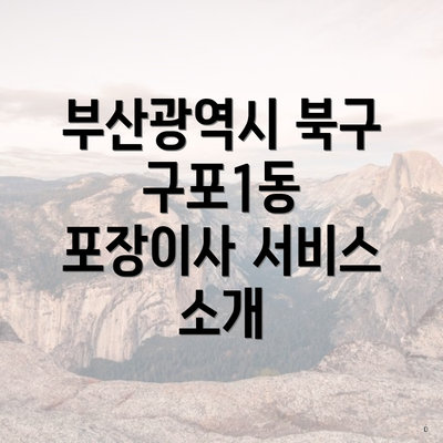 부산광역시 북구 구포1동 포장이사 서비스 소개