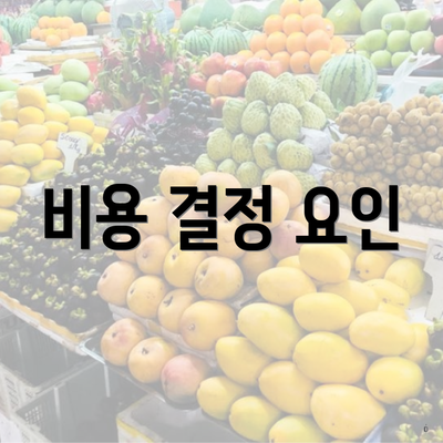 비용 결정 요인