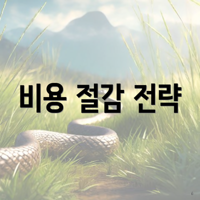 비용 절감 전략