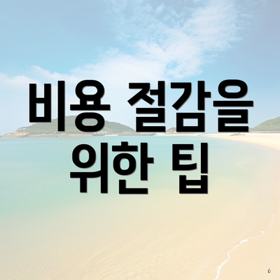 비용 절감을 위한 팁