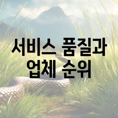 서비스 품질과 업체 순위